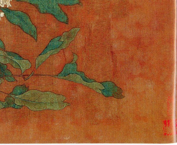 五代_后蜀_黄居寀_花卉写生图册_9_(3011×2474 – 300dpi)(图5)