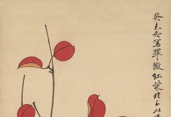 清_于非闇_翠微红叶图轴纸本_(4064×11091 – 300dpi)(图2)