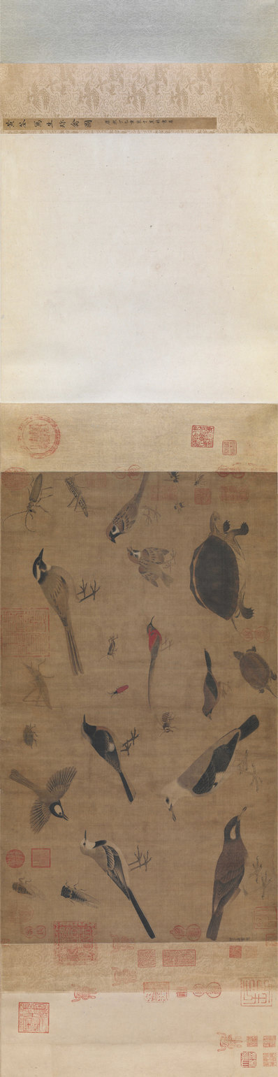 五代_后蜀_黄筌_写生珍禽图卷_(28530×7369 – 400dpi)(图1)
