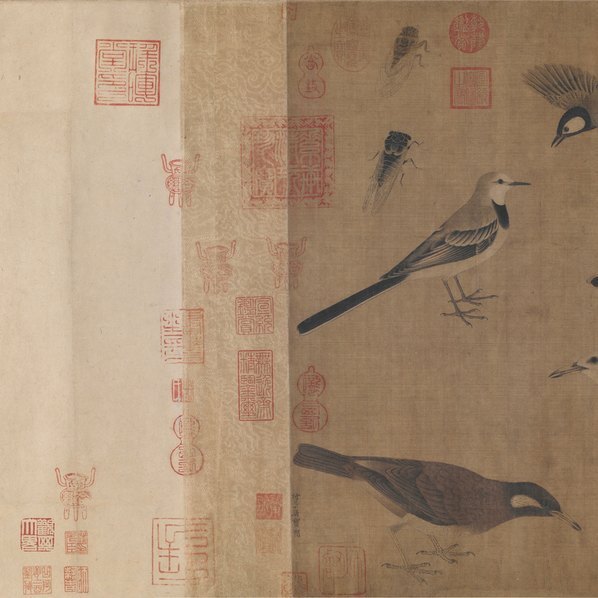 五代_后蜀_黄筌_写生珍禽图卷_(28530×7369 – 400dpi)(图2)