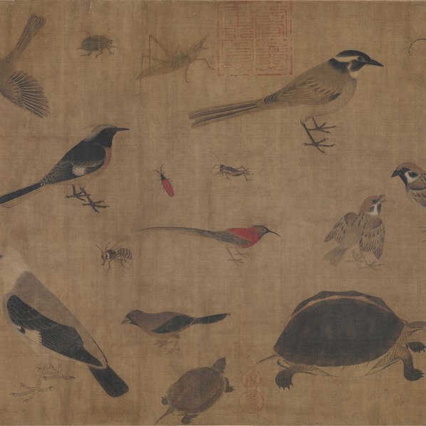 五代_后蜀_黄筌_写生珍禽图卷_(28530×7369 – 400dpi)(图3)
