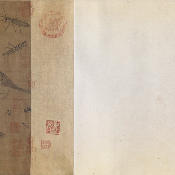 五代_后蜀_黄筌_写生珍禽图卷_(28530×7369 – 400dpi)(图4)