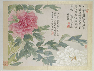清_恽寿平_山水花鸟图册之牡丹_(4600×3488 – 300dpi)(图1)
