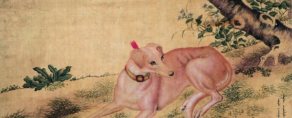 清_郎世宁_款_卧犬_(4500×7290 – 300dpi)(图4)