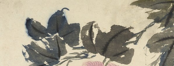 清_石涛_花卉册十帧_11_(2613×3966 – 400dpi)(图2)