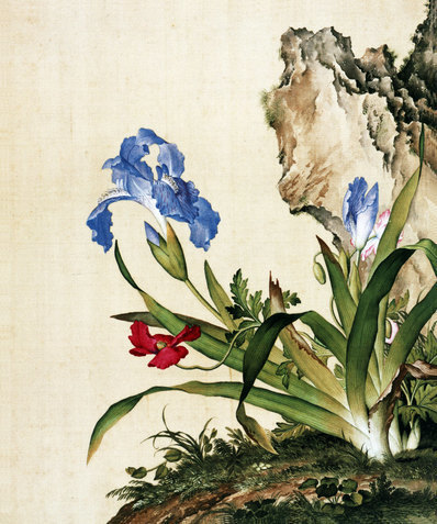 清_郎世宁_仙萼长春图最佳版_虞美人蝴蝶花图_(6252×7496 – 405dpi)(图1)