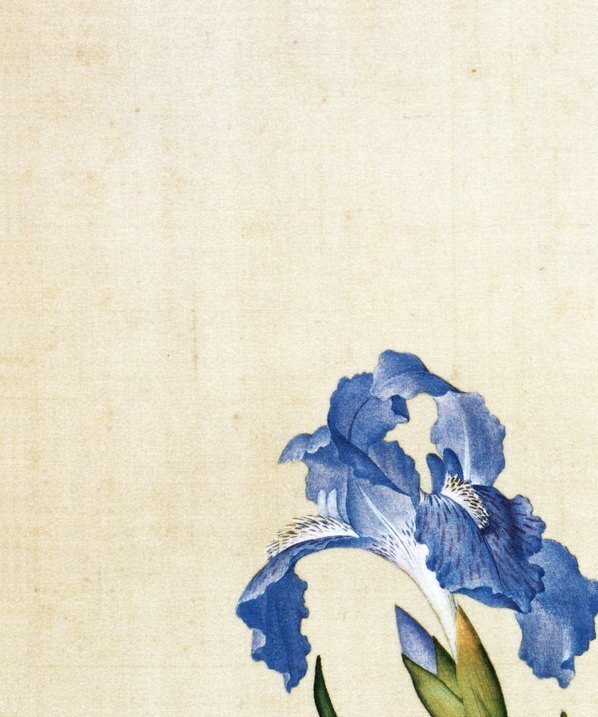 清_郎世宁_仙萼长春图最佳版_虞美人蝴蝶花图_(6252×7496 – 405dpi)(图2)