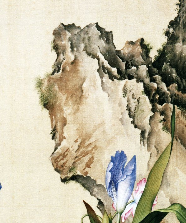 清_郎世宁_仙萼长春图最佳版_虞美人蝴蝶花图_(6252×7496 – 405dpi)(图3)