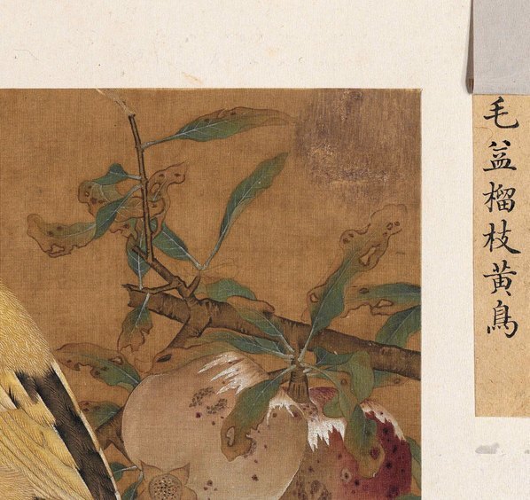 宋_佚名_传毛益_榴枝黄鸟图_绢本_(5278×4980 – 300dpi)(图3)