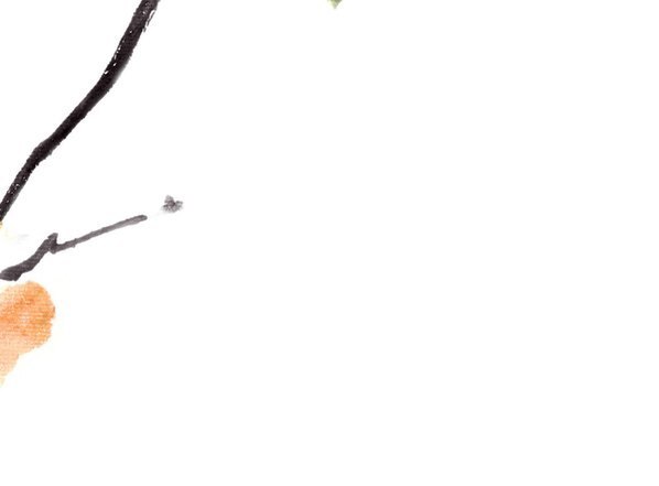 近代_王雪涛_芙蓉_(8020×5906 – 72dpi)(图5)