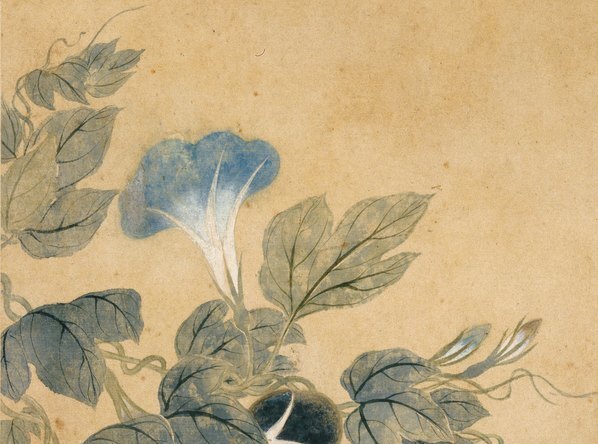 清_华嵒_花鸟草虫八开_华嵒花鸟草_2_(4309×3202 – 350dpi)(图2)
