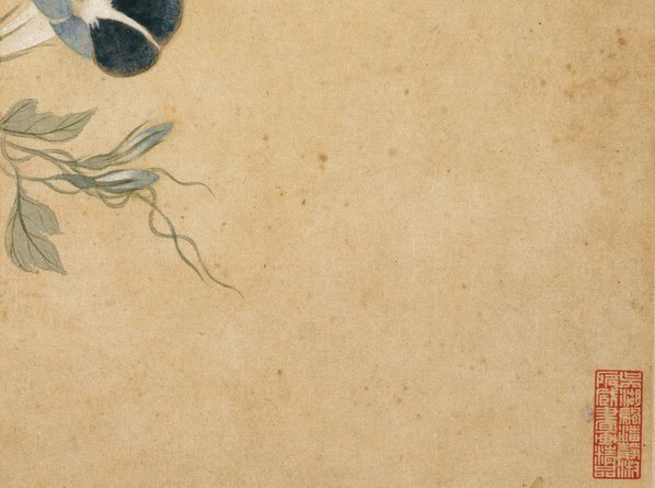 清_华嵒_花鸟草虫八开_华嵒花鸟草_2_(4309×3202 – 350dpi)(图5)