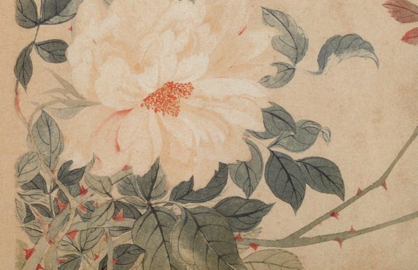 清_恽寿平_山水花卉神品册_(4218×2730 – 300dpi)(图5)