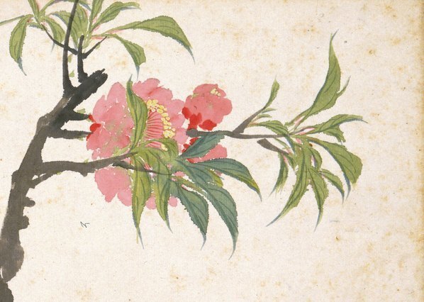 清_赵之谦_花卉图册十开_11_(4309×3070 – 350dpi)(图3)