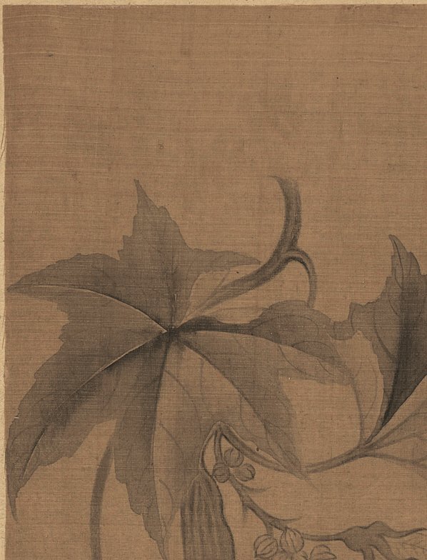 清_恽寿平_花果蔬菜_绢本_111_(2356×3091 – 300dpi)(图2)