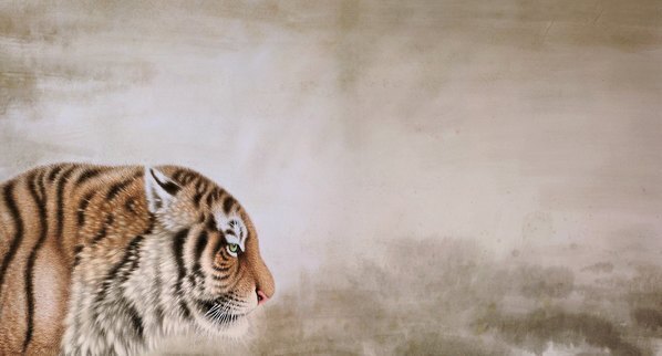 近代_徐鸿儒_虎_(9412×5072 – 72dpi)(图3)