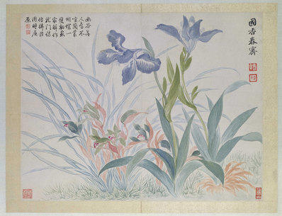 清_恽寿平_山水花鸟图册之兰花蝴蝶_(4870×3728 – 300dpi)(图1)