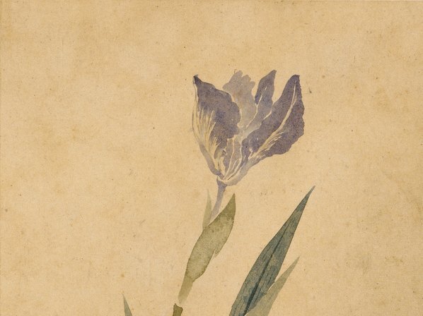 清_华嵒_花鸟草虫八开_华嵒花鸟草_5_(4309×3228 – 350dpi)(图3)