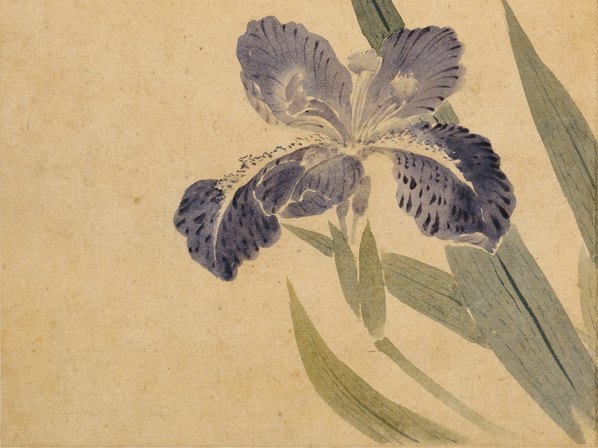 清_华嵒_花鸟草虫八开_华嵒花鸟草_5_(4309×3228 – 350dpi)(图4)