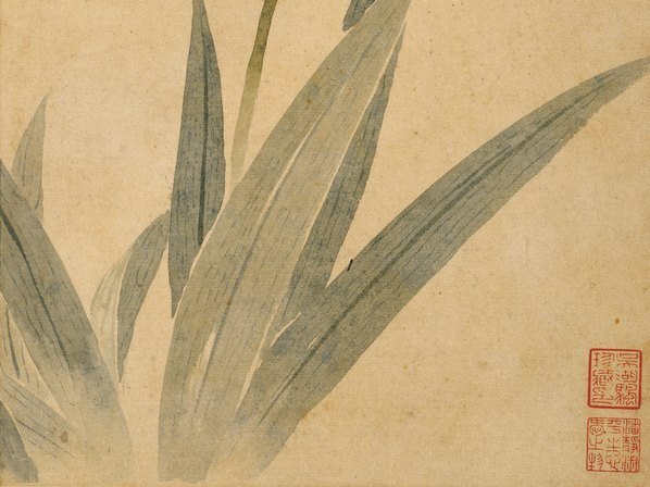 清_华嵒_花鸟草虫八开_华嵒花鸟草_5_(4309×3228 – 350dpi)(图5)