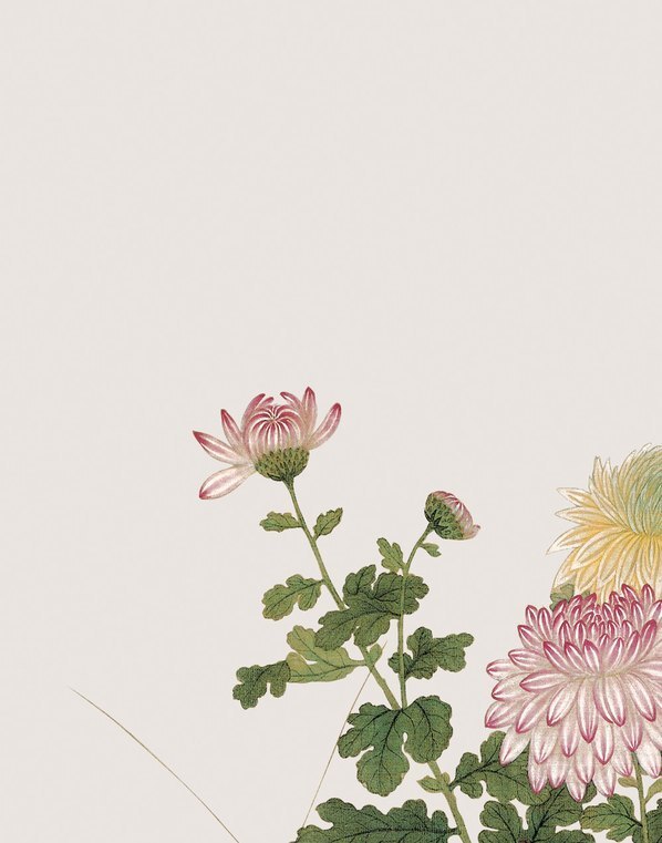 清_余挚_花鸟画_8_(3248×4134 – 150dpi)(图2)