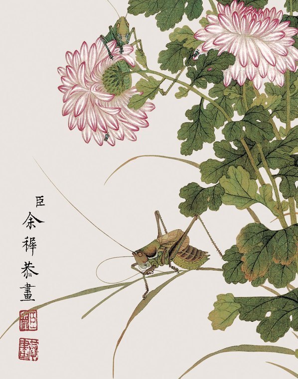 清_余挚_花鸟画_8_(3248×4134 – 150dpi)(图4)