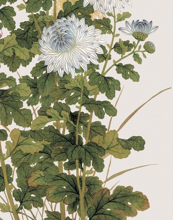 清_余挚_花鸟画_8_(3248×4134 – 150dpi)(图5)