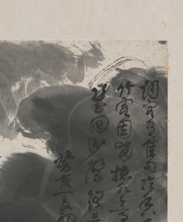 近代_谢稚柳_花卉册页_(5525×6720 – 72dpi)(图3)