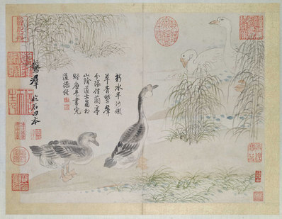 清_恽寿平_山水花鸟图册之群_(4870×3782 – 300dpi)(图1)