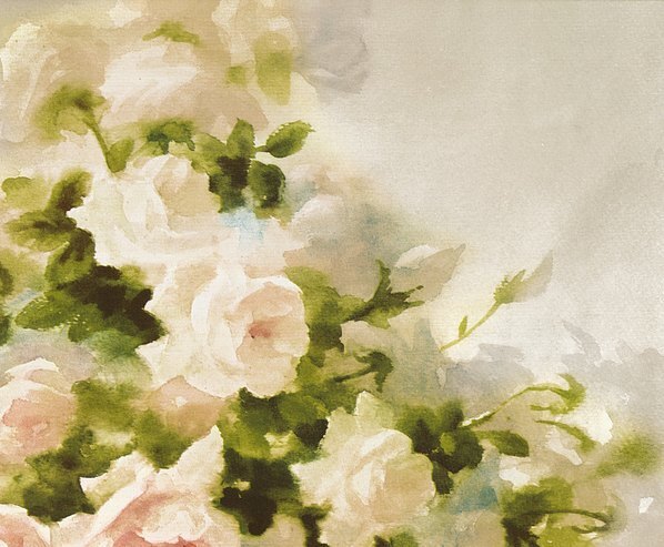近代_菊花_(7500×6184 – 72dpi)(图3)