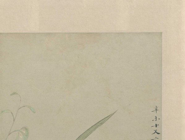 明_文俶_花卉图册页_北京故宫张_第八_(5257×3986 – 300dpi)(图3)