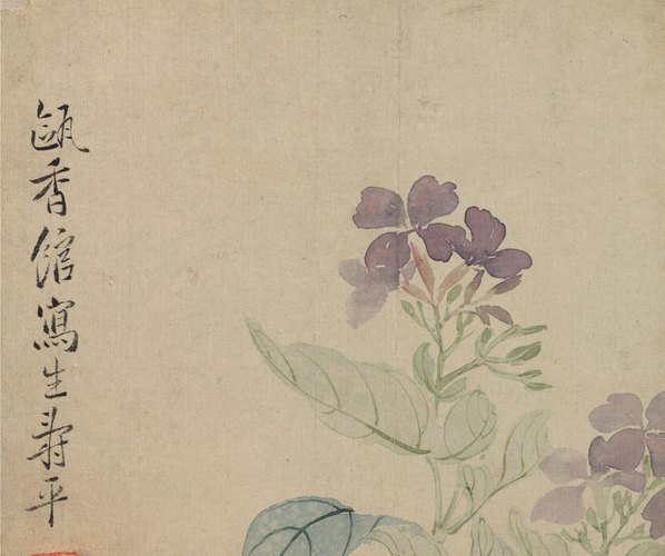 清_恽寿平_山水花卉_花卉图冊之四-豆花石_(4002×3345 – 96dpi)(图2)