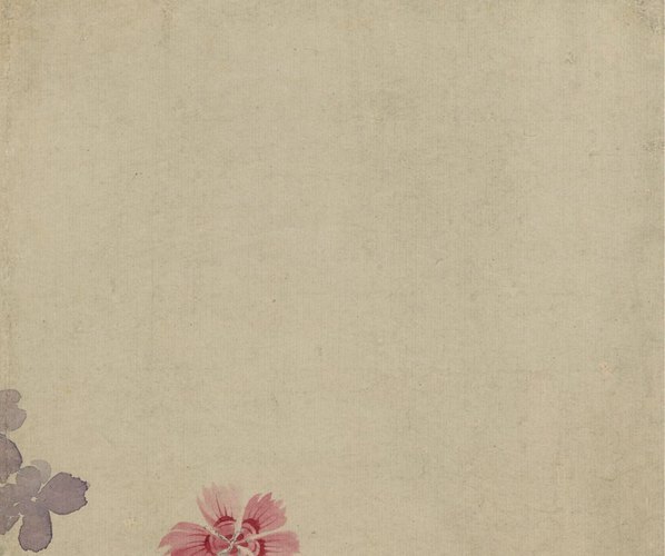 清_恽寿平_山水花卉_花卉图冊之四-豆花石_(4002×3345 – 96dpi)(图3)
