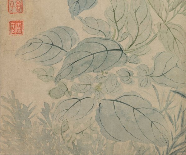 清_恽寿平_山水花卉_花卉图冊之四-豆花石_(4002×3345 – 96dpi)(图4)
