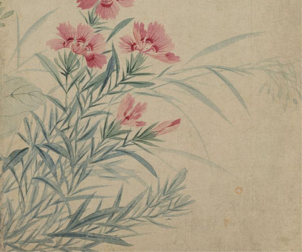 清_恽寿平_山水花卉_花卉图冊之四-豆花石_(4002×3345 – 96dpi)(图5)
