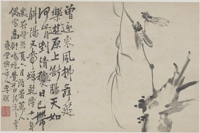 清_李鱓_花鸟十二开_二_纸本_111_(5802×3858 – 360dpi)(图1)