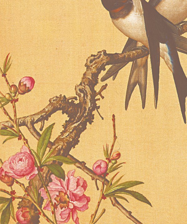 清_郎世宁_花鸟图册_25(图4)