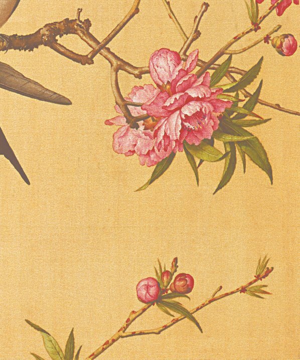 清_郎世宁_花鸟图册_25(图5)