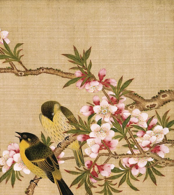 清_余稚_花鸟画十二开_绢本_余稚花鸟_(3248×3642 – 250dpi)(图3)