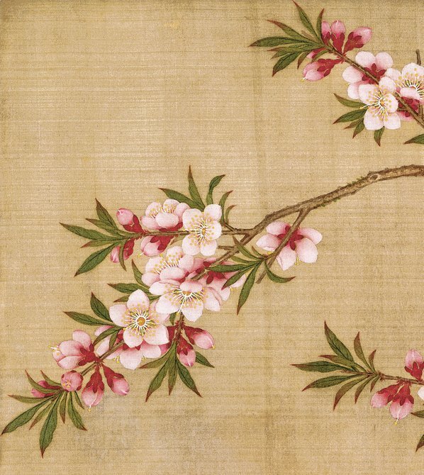 清_余稚_花鸟画十二开_绢本_余稚花鸟_(3248×3642 – 250dpi)(图2)
