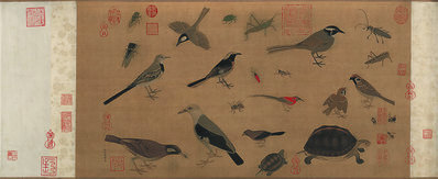 清_于非闇_百禽图_绢本_(12416×5076 – 300dpi)(图1)