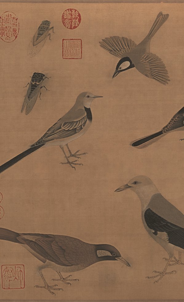 清_于非闇_百禽图_绢本_(12416×5076 – 300dpi)(图3)