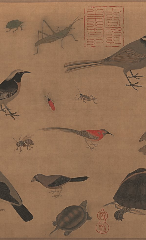 清_于非闇_百禽图_绢本_(12416×5076 – 300dpi)(图4)