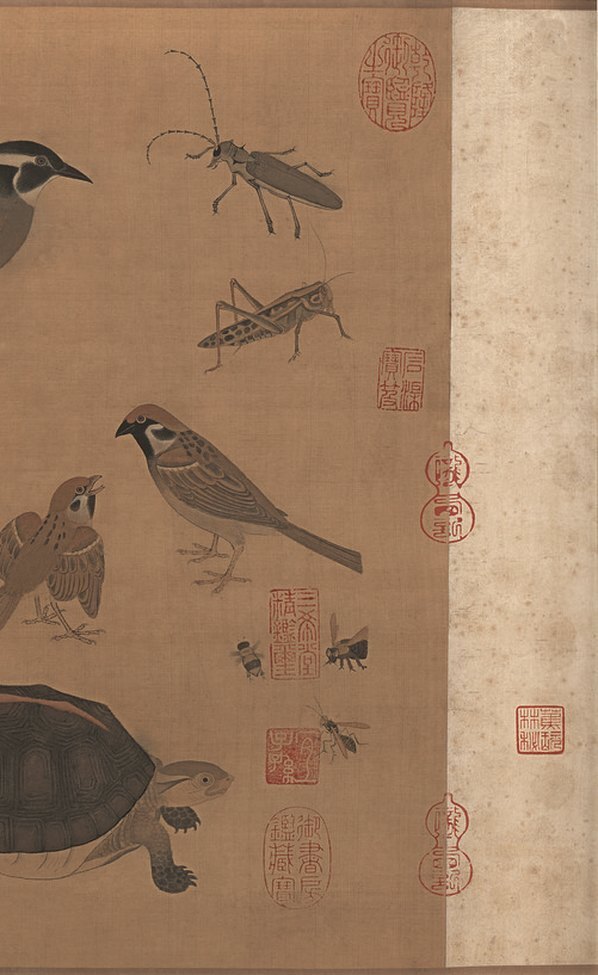 清_于非闇_百禽图_绢本_(12416×5076 – 300dpi)(图5)