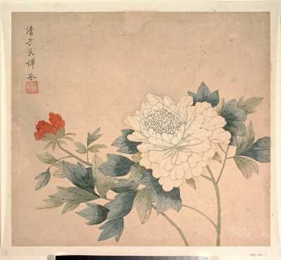 清_恽冰_牡丹图_(5000×4631 – 300dpi)(图1)