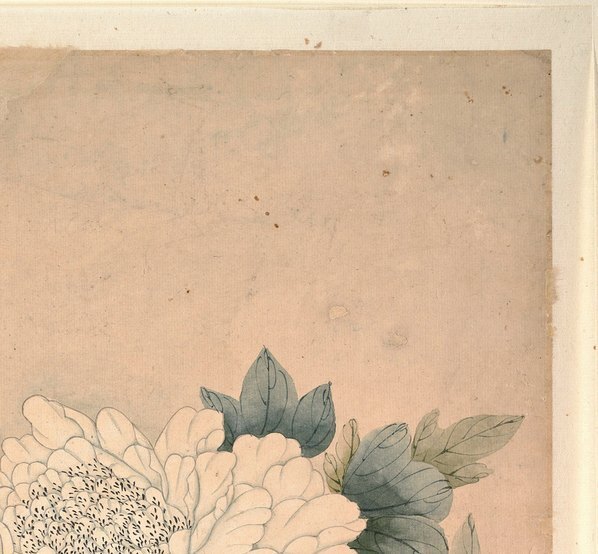 清_恽冰_牡丹图_(5000×4631 – 300dpi)(图3)
