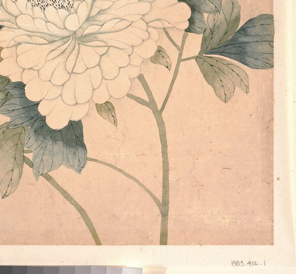 清_恽冰_牡丹图_(5000×4631 – 300dpi)(图5)