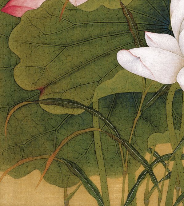 清_余稚_花鸟画十二开_绢本_余稚花鸟_7_(3248×3642 – 250dpi)(图4)