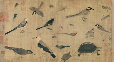 五代_黄筌_写生珍禽图绢本_(10599×5843 – 300dpi)(图1)