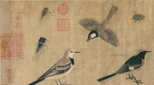 五代_黄筌_写生珍禽图绢本_(10599×5843 – 300dpi)(图2)